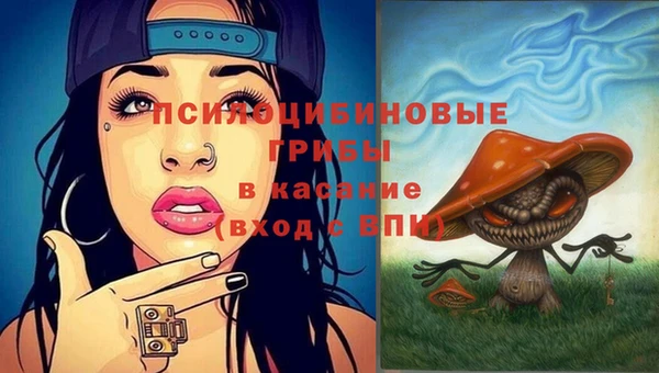 мдма Каменка