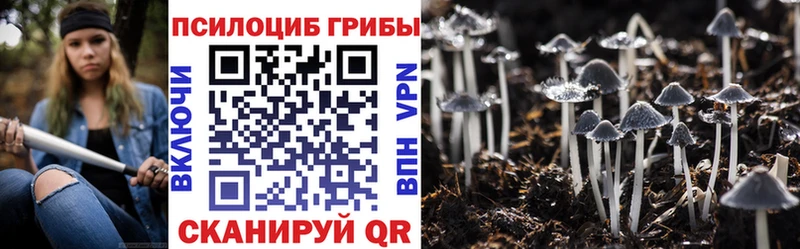 Купить закладки  Гремячинск  Псилоцибиновые грибы MAGIC MUSHROOMS 