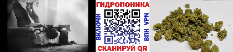 Шишки марихуана планчик  Купить закладки  Гремячинск 